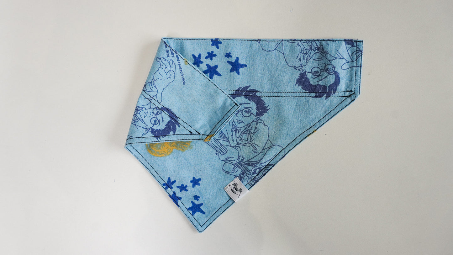 Bandana pour animaux vintage upcyclé ( XS - L )